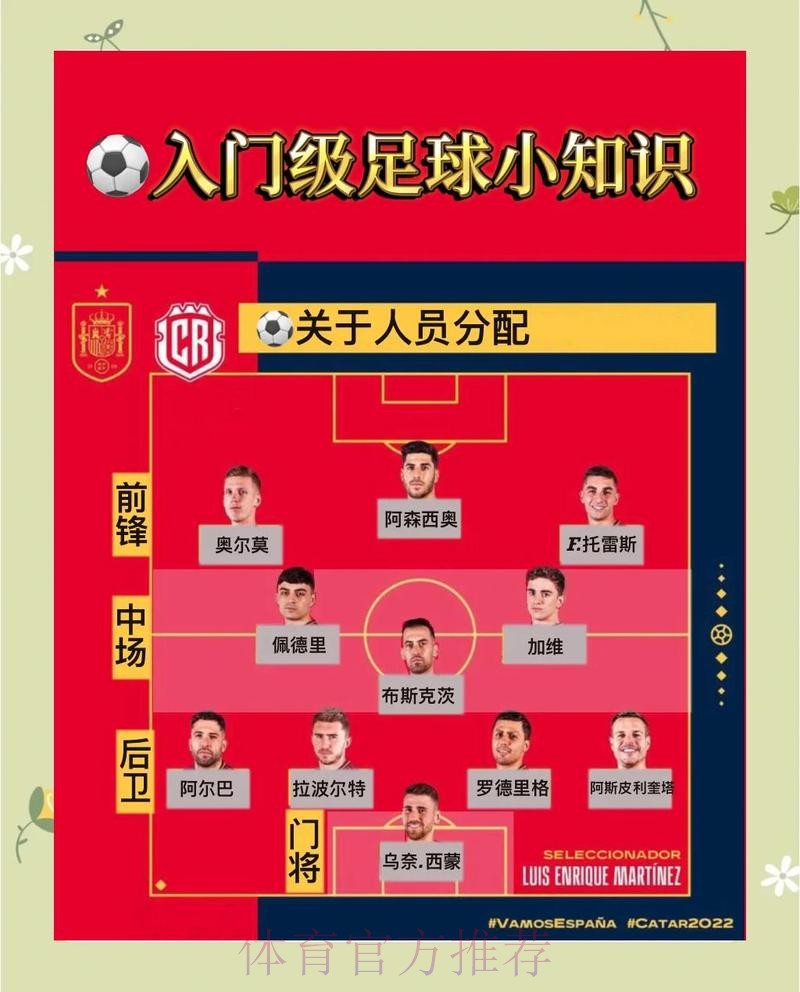 世界杯网页版攻略与技巧深度解读